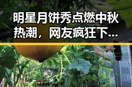 91吃瓜爆料黑料网曝门 - 最新黑料每日爆料平台