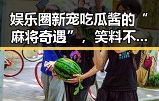娱乐圈新宠吃瓜酱的“麻将奇遇”，笑料不断引发热议！